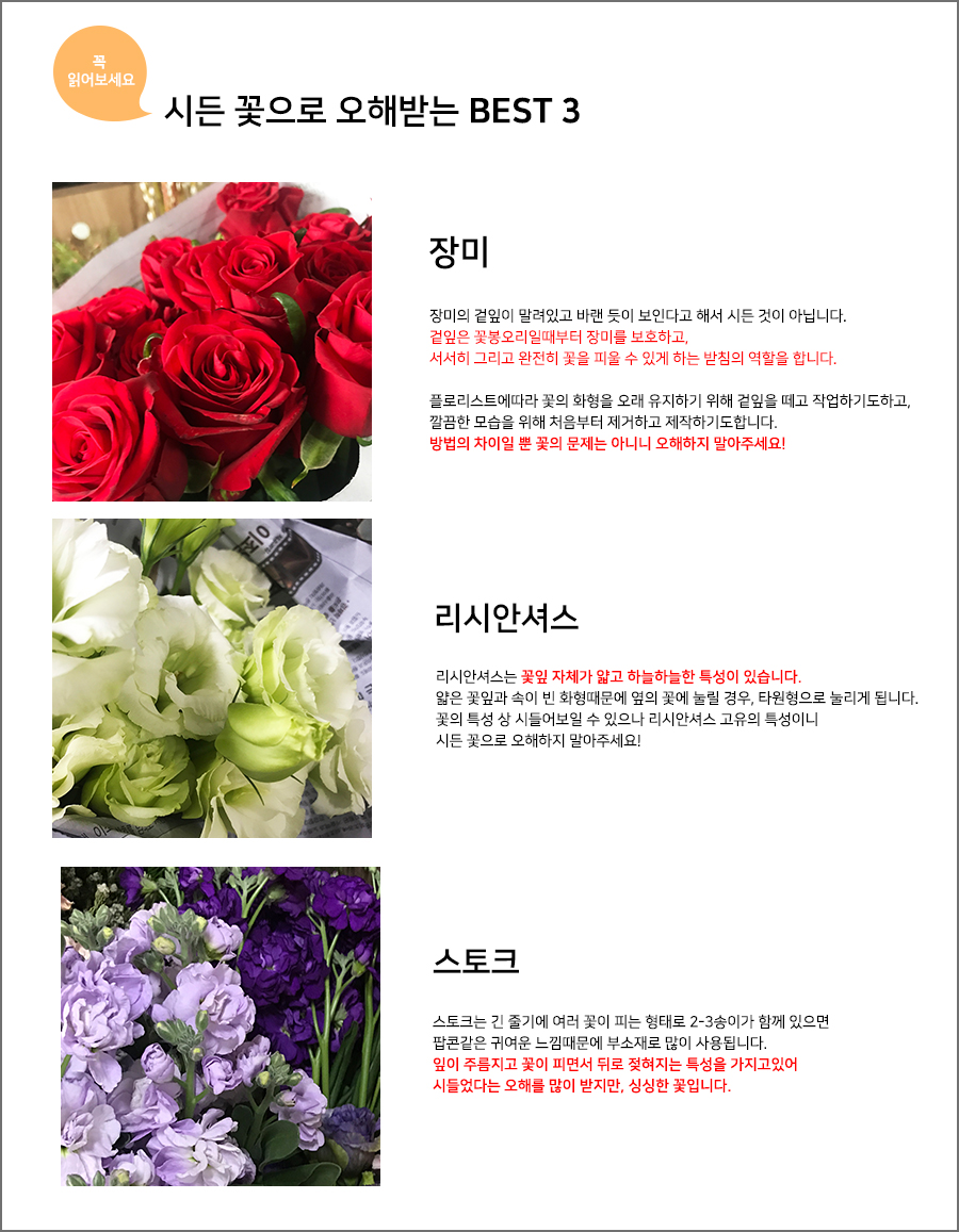 설명이미지