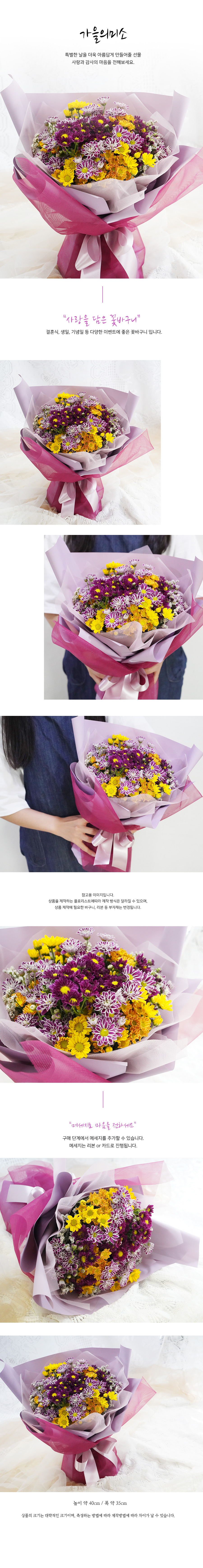 설명이미지