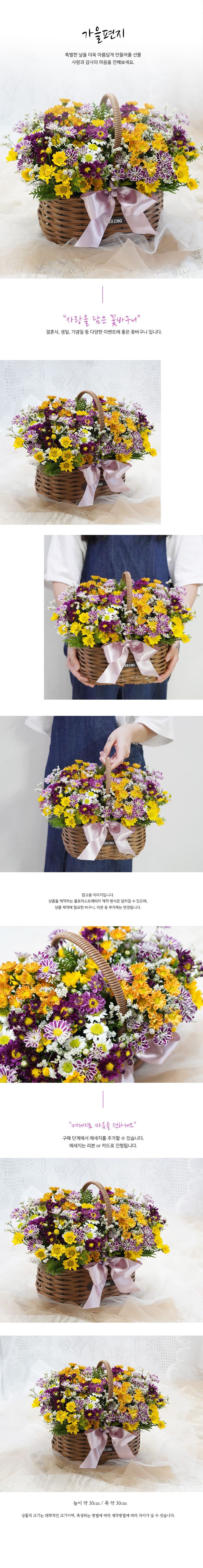 설명이미지