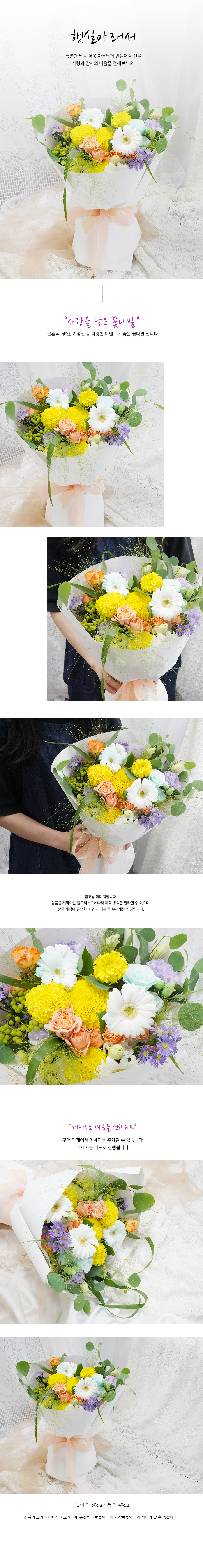 설명이미지