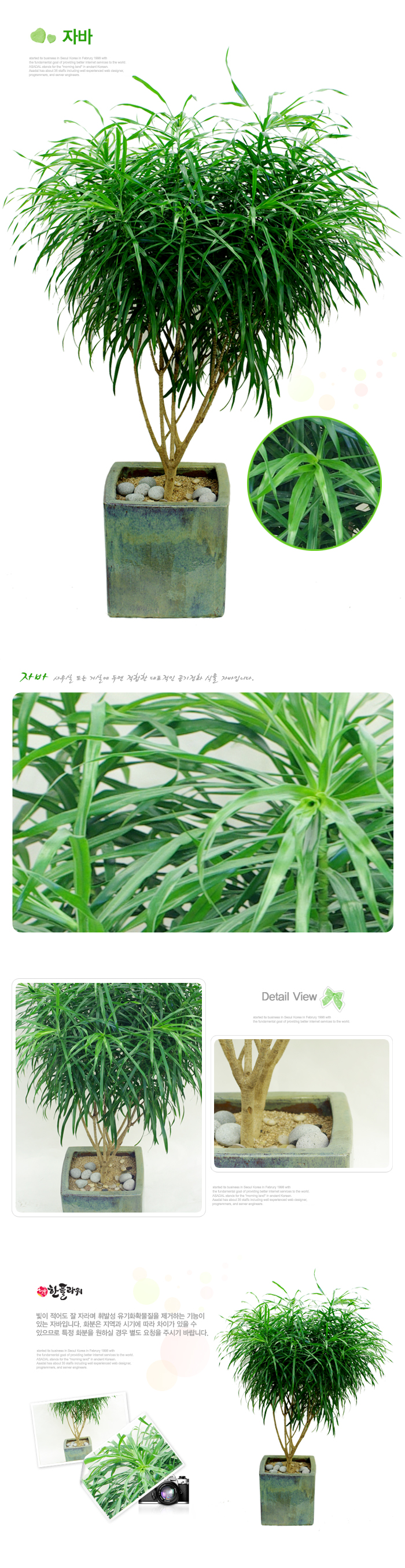 설명이미지