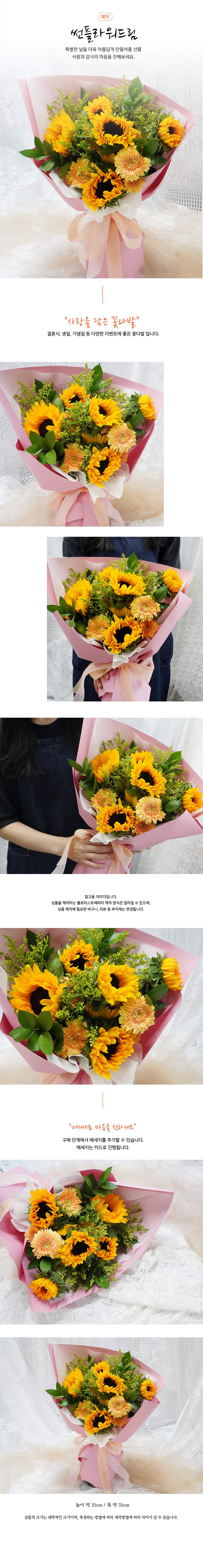 설명이미지