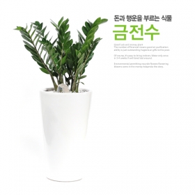 상품