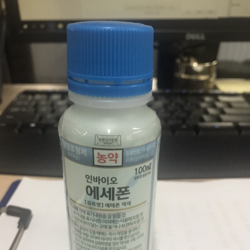 주상품이미지