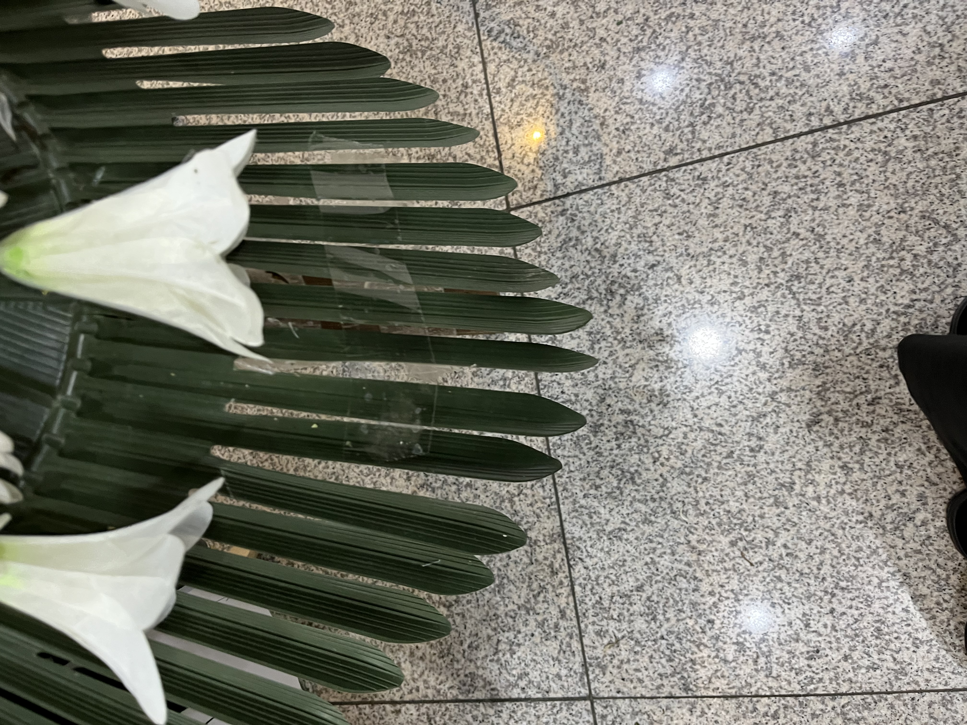 업로드 이미지
