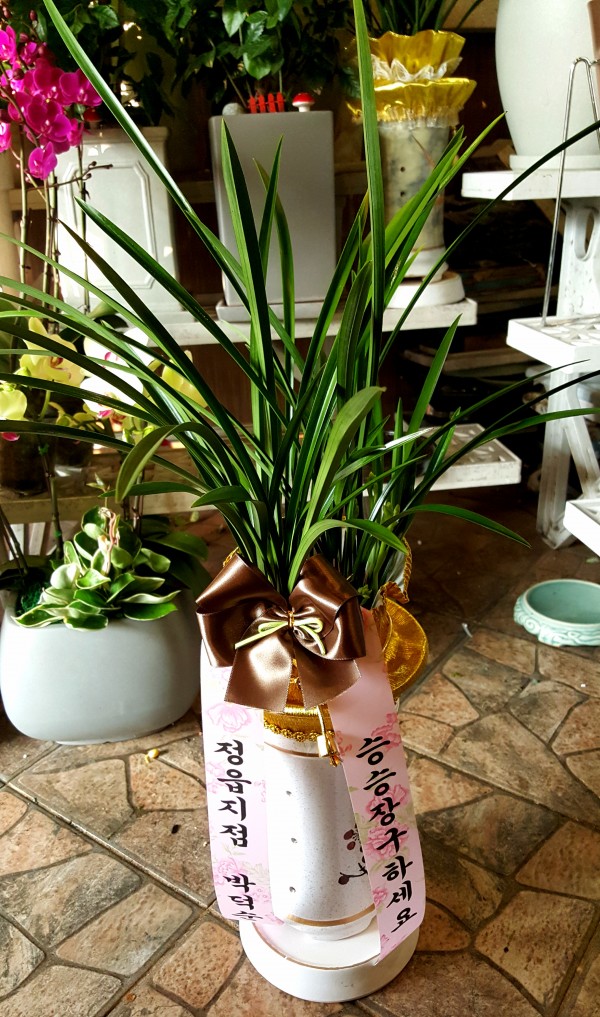 업로드 이미지