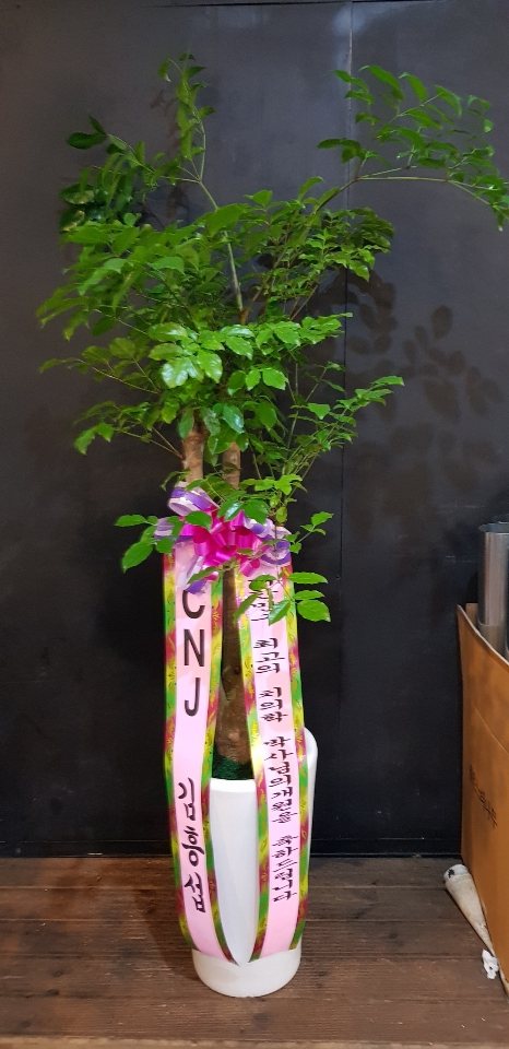 업로드 이미지