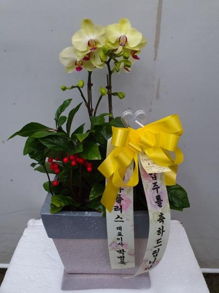 업로드 이미지