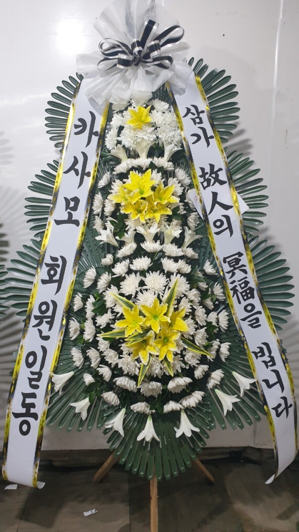 업로드 이미지