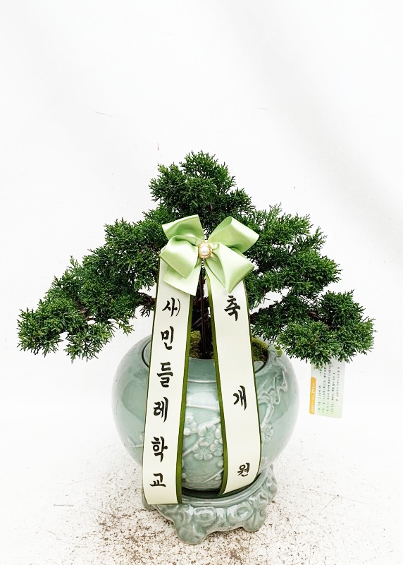 업로드 이미지
