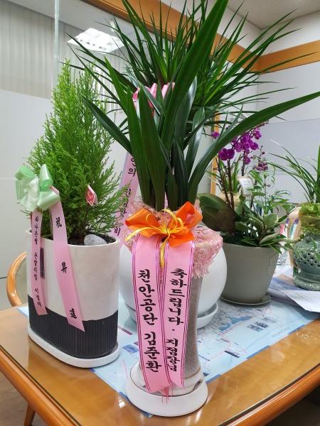 업로드 이미지