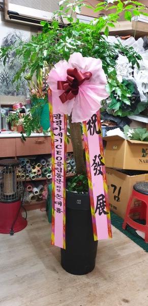 업로드 이미지