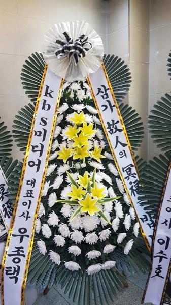 업로드 이미지