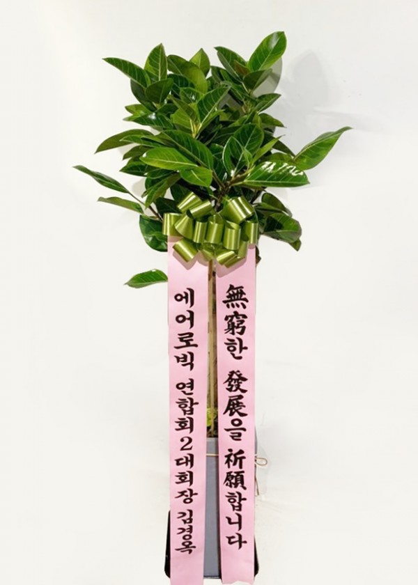 업로드 이미지
