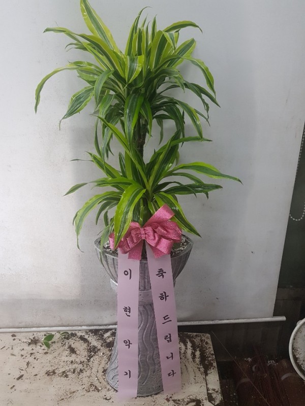 업로드 이미지