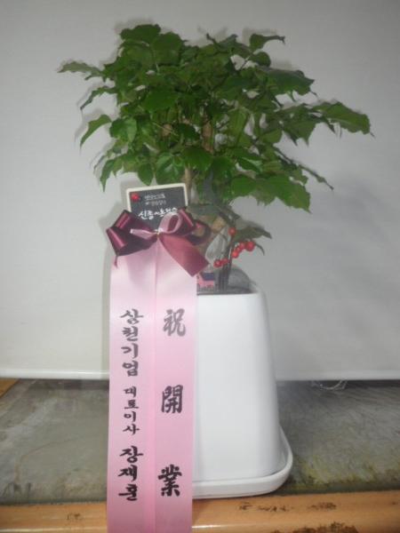 업로드 이미지