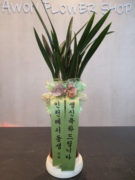 업로드 이미지