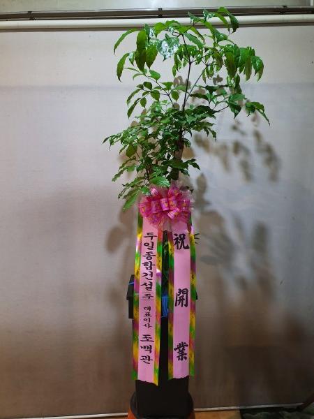 업로드 이미지