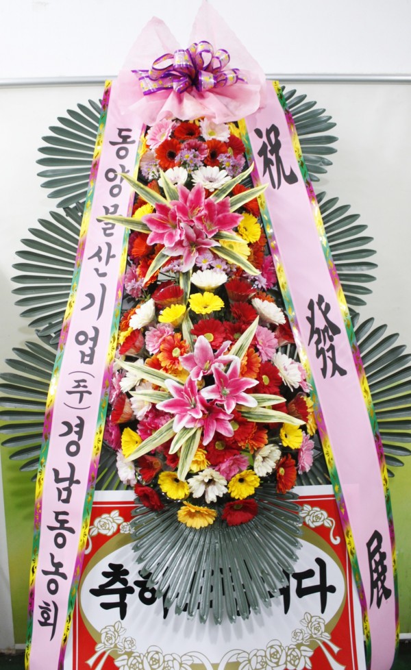 업로드 이미지