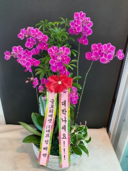 업로드 이미지