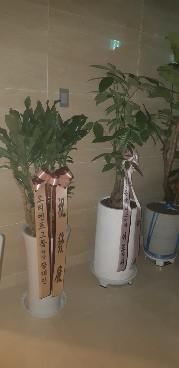 업로드 이미지