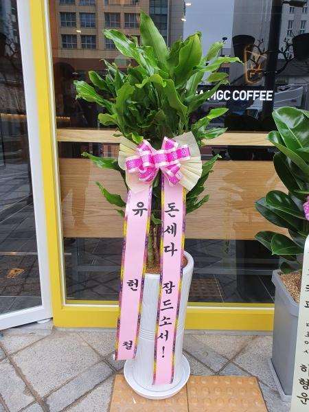 업로드 이미지