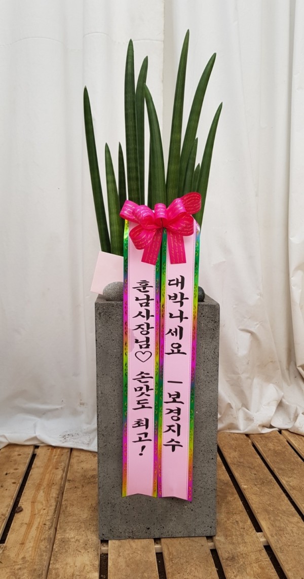업로드 이미지