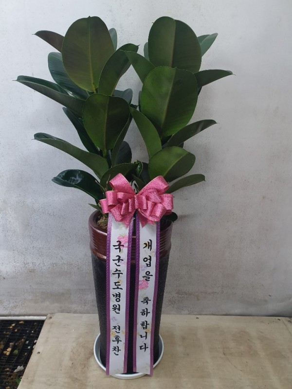 업로드 이미지