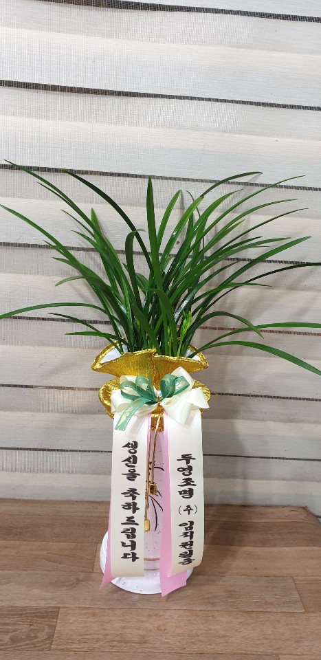 업로드 이미지