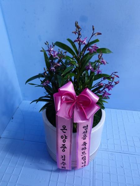 업로드 이미지
