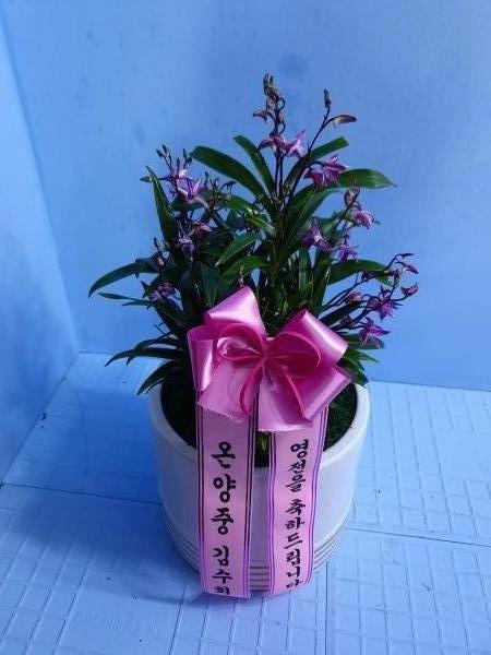 업로드 이미지