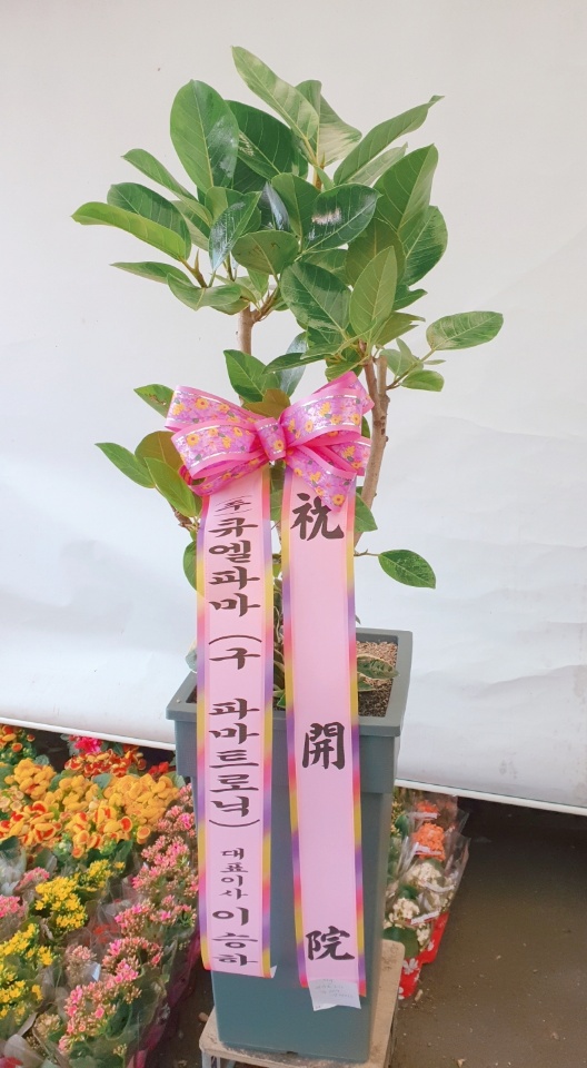업로드 이미지
