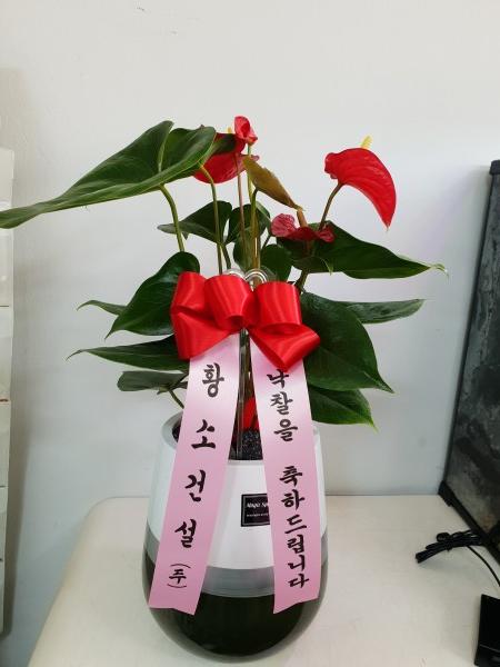 업로드 이미지
