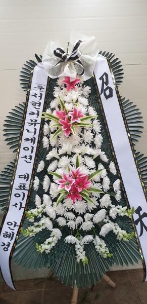 업로드 이미지