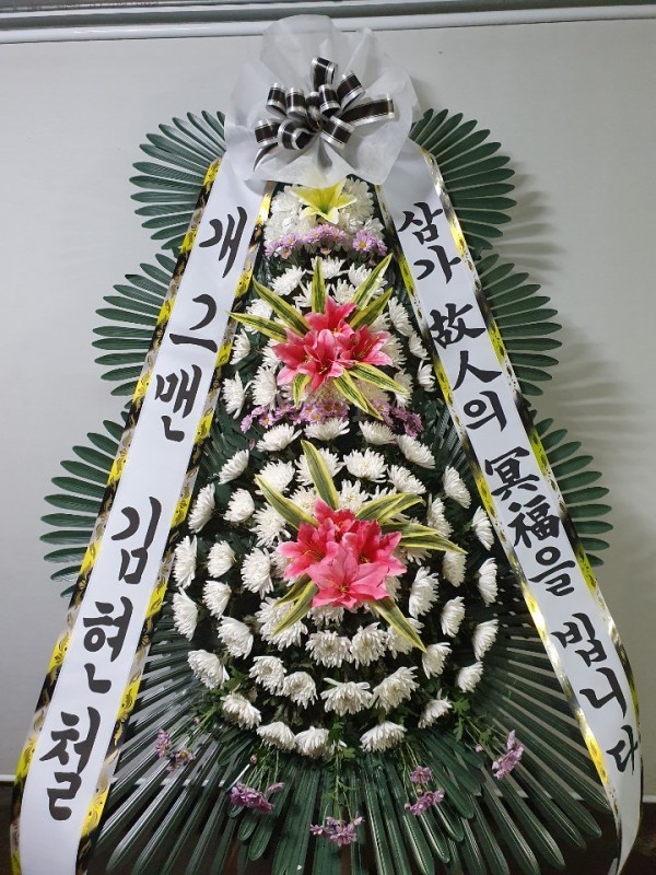 업로드 이미지