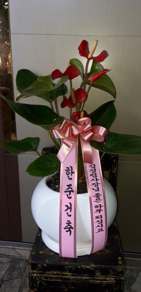 업로드 이미지