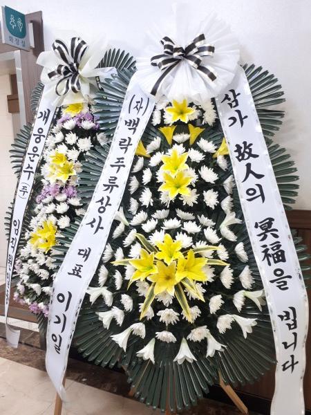 업로드 이미지