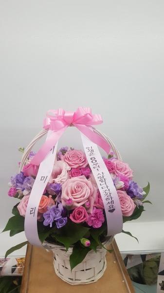 업로드 이미지