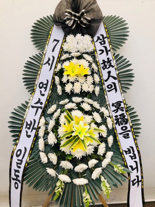 업로드 이미지