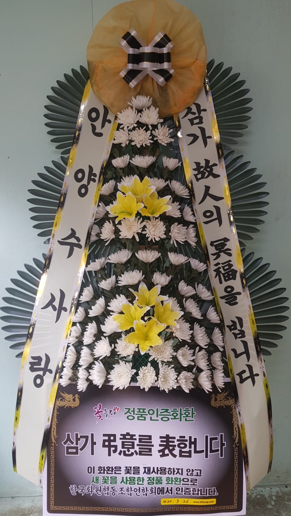 업로드 이미지