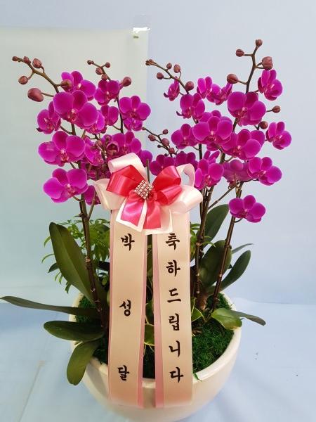 업로드 이미지