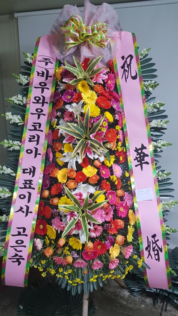 업로드 이미지