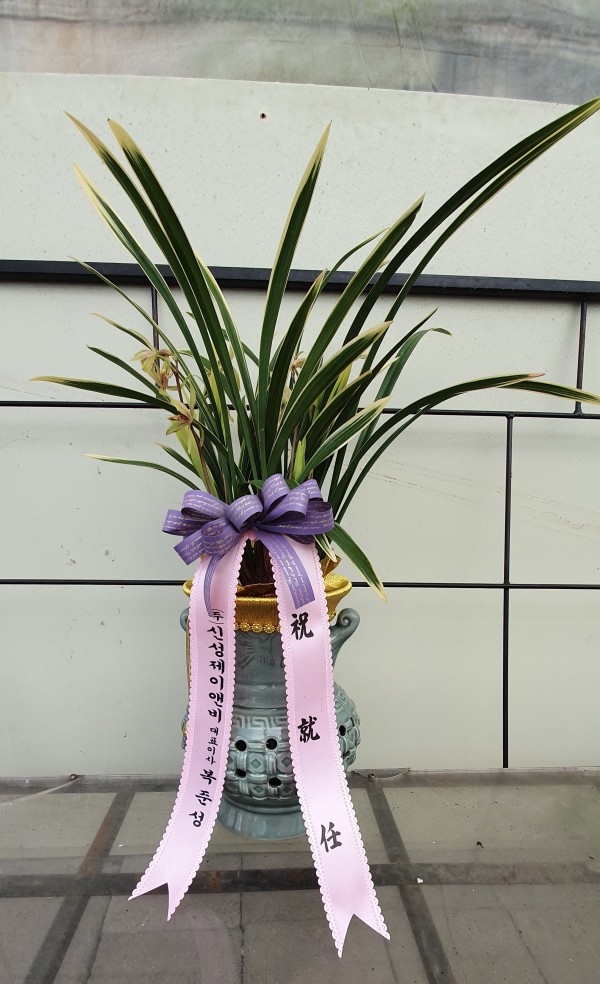 업로드 이미지