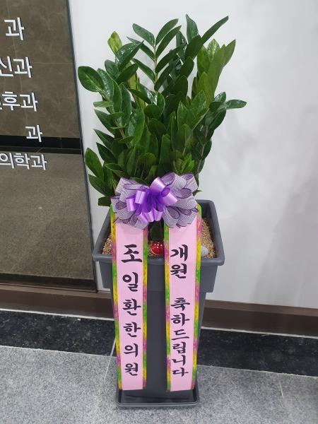 업로드 이미지