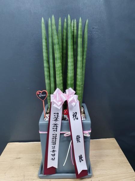 업로드 이미지