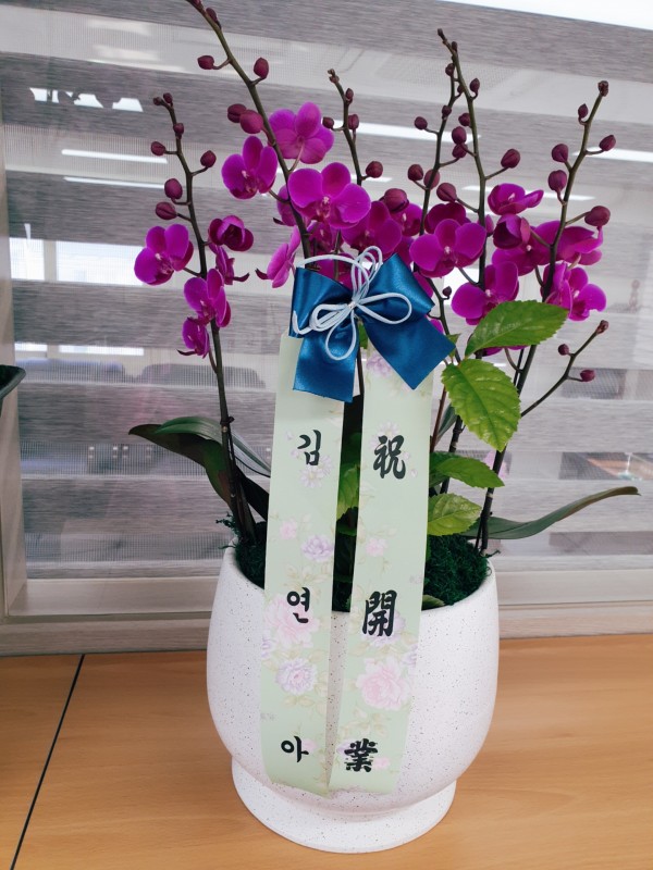 업로드 이미지