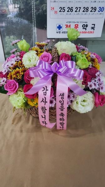 업로드 이미지