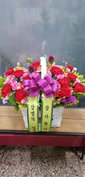 업로드 이미지
