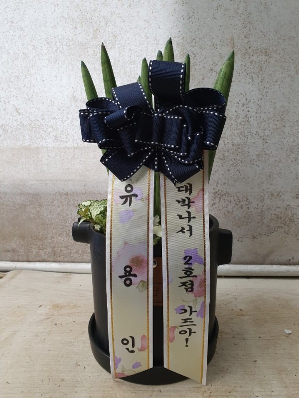업로드 이미지
