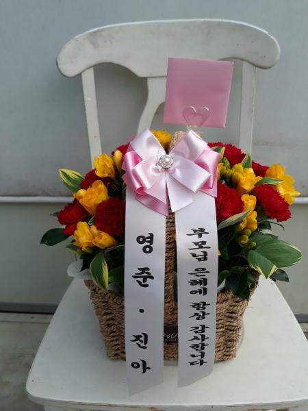 업로드 이미지